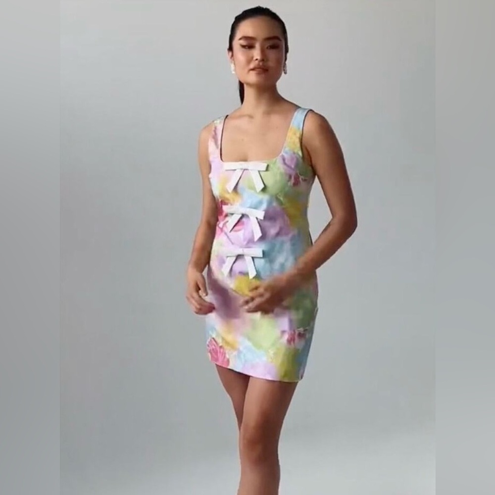 Mestiza New York Tese Mini Dress Watercolor Peony Garden Floral Bow Front Size 6